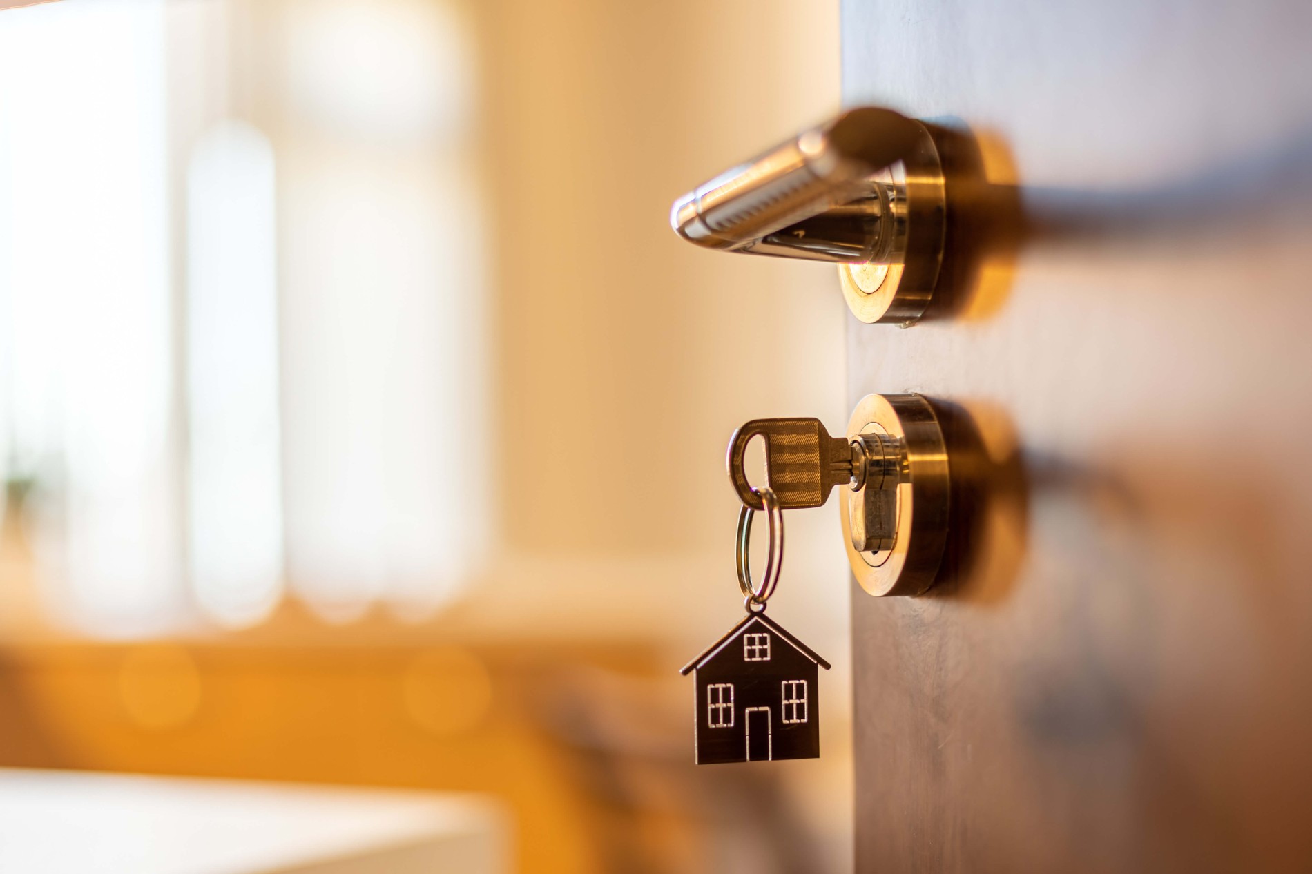 Persone che analizzano documenti relativi a aste immobiliari